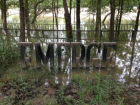 Buffalo Bayou Park - Emerge