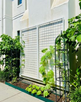 Garden Trellis