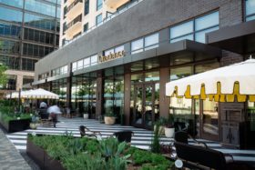 Large-Scale Custom Outdoor Planters